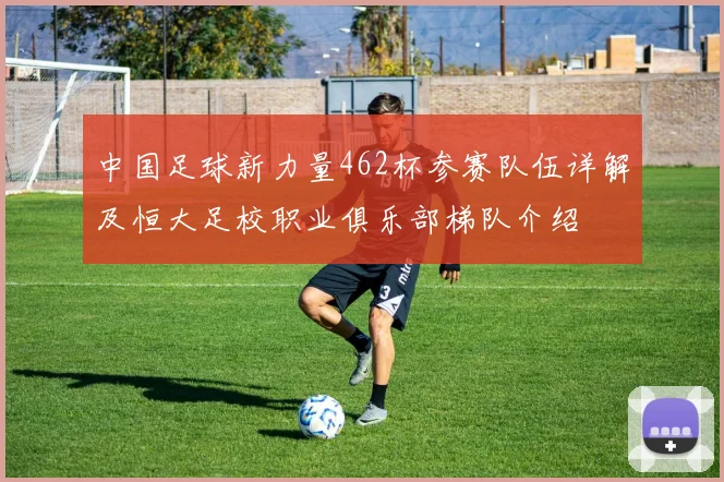 中国足球新力量462杯参赛队伍详解及恒大足校职业俱乐部梯队介绍